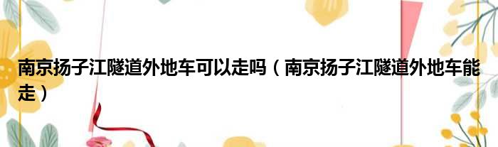 南京扬子江隧道外地车可以走吗（南京扬子江隧道外地车能走）