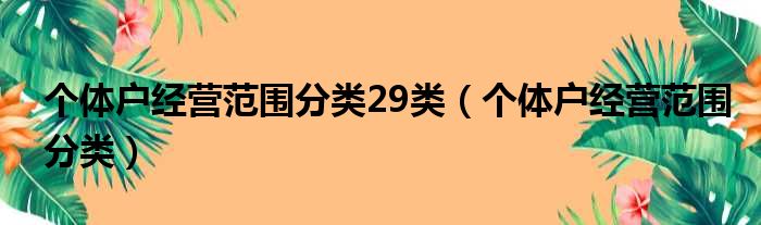 个体户经营范围分类29类（个体户经营范围分类）