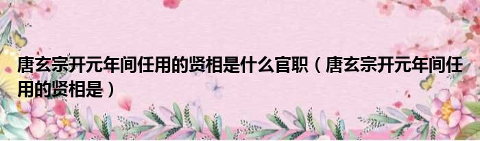 唐玄宗开元年间任用的贤相是什么官职（唐玄宗开元年间任用的贤相是）