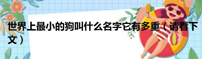 世界上最小的狗叫什么名字它有多重（请看下文）