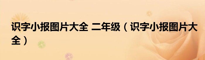 识字小报图片大全 二年级（识字小报图片大全）