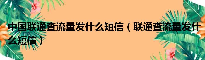 中国联通查流量发什么短信（联通查流量发什么短信）