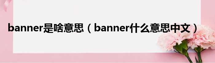 banner是啥意思（banner什么意思中文）