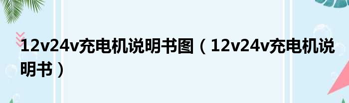 12v24v充电机说明书图（12v24v充电机说明书）