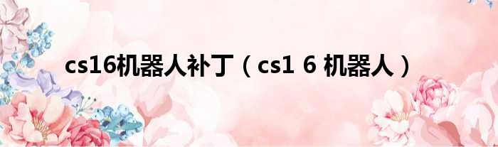 cs16机器人补丁（cs1 6 机器人）