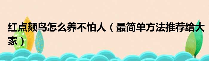 红点颏鸟怎么养不怕人（最简单方法推荐给大家）