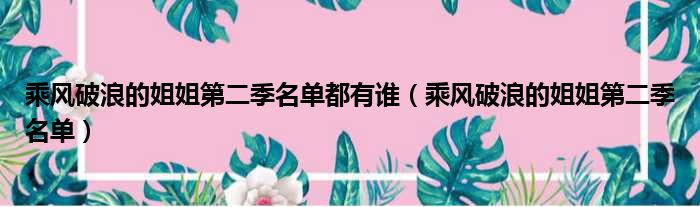 乘风破浪的姐姐第二季名单都有谁（乘风破浪的姐姐第二季名单）