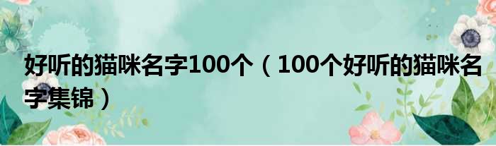 好听的猫咪名字100个（100个好听的猫咪名字集锦）