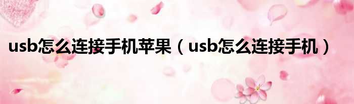 usb怎么连接手机苹果（usb怎么连接手机）