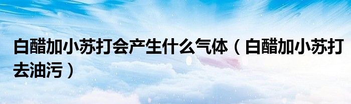 白醋加小苏打会产生什么气体（白醋加小苏打去油污）