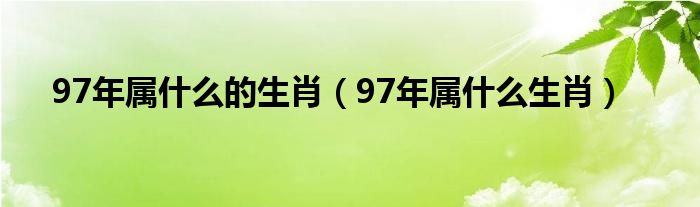 97年属什么的生肖（97年属什么生肖）