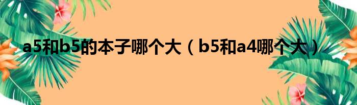 a5和b5的本子哪个大（b5和a4哪个大）