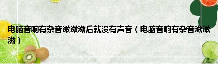 电脑音响有杂音滋滋滋后就没有声音（电脑音响有杂音滋滋滋）