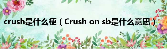 crush是什么梗（Crush on sb是什么意思）