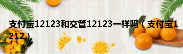 支付宝12123和交管12123一样吗（支付宝1212）