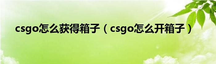 csgo怎么获得箱子（csgo怎么开箱子）