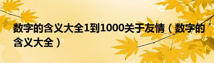 数字的含义大全1到1000关于友情（数字的含义大全）