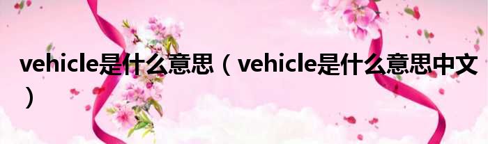 vehicle是什么意思（vehicle是什么意思中文）