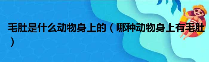 毛肚是什么动物身上的（哪种动物身上有毛肚）