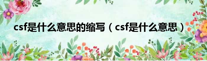 csf是什么意思的缩写（csf是什么意思）