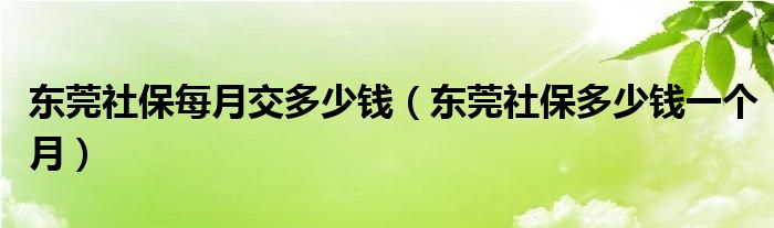 东莞社保每月交多少钱（东莞社保多少钱一个月）