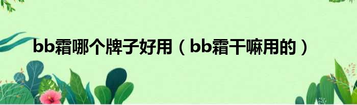 bb霜哪个牌子好用（bb霜干嘛用的）