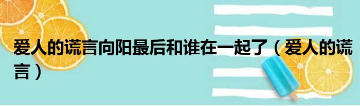 爱人的谎言向阳最后和谁在一起了（爱人的谎言）