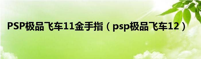  PSP极品飞车11金手指（psp极品飞车12）