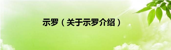  示罗（关于示罗介绍）