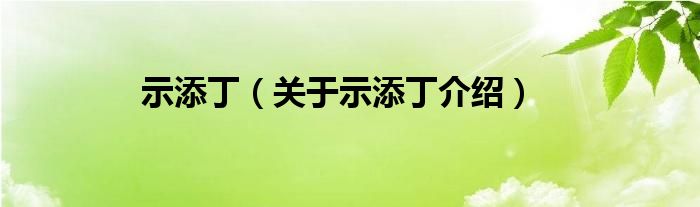  示添丁（关于示添丁介绍）