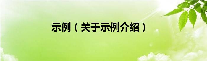  示例（关于示例介绍）