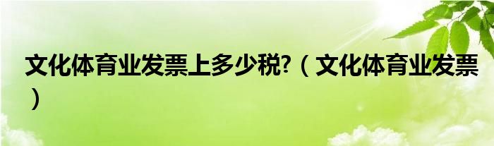  文化体育业发票上多少税 （文化体育业发票）