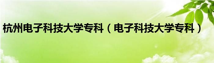  杭州电子科技大学专科（电子科技大学专科）