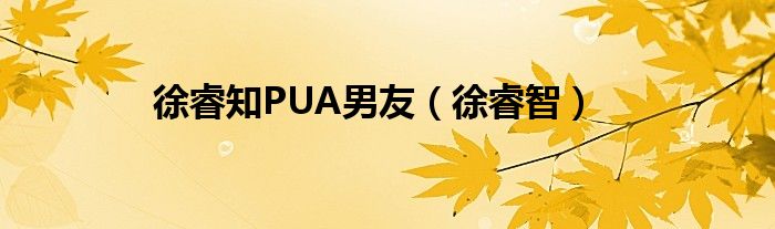  徐睿知PUA男友（徐睿智）