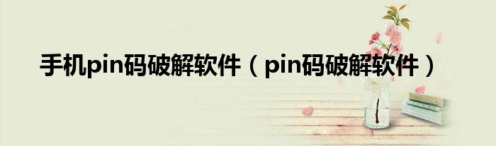  手机pin码破解软件（pin码破解软件）