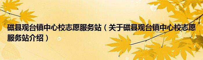  磁县观台镇中心校志愿服务站（关于磁县观台镇中心校志愿服务站介绍）