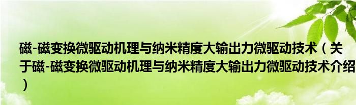  磁-磁变换微驱动机理与纳米精度大输出力微驱动技术（关于磁-磁变换微驱动机理与纳米精度大输出力微驱动技术介绍）