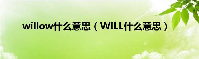  willow什么意思（WILL什么意思）