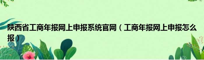 陕西省工商年报网上申报系统官网（工商年报网上申报怎么报）