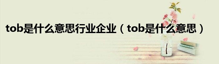 tob是什么意思行业企业（tob是什么意思）