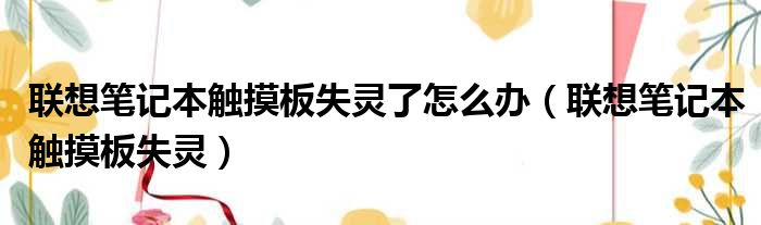 联想笔记本触摸板失灵了怎么办（联想笔记本触摸板失灵）