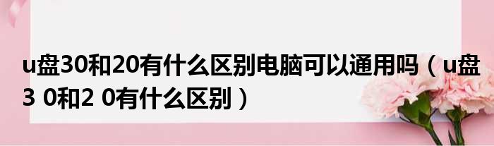 u盘30和20有什么区别电脑可以通用吗（u盘3 0和2 0有什么区别）