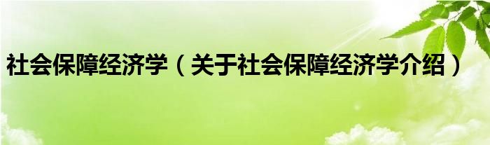  社会保障经济学（关于社会保障经济学介绍）