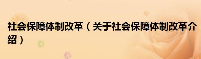  社会保障体制改革（关于社会保障体制改革介绍）