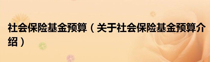  社会保险基金预算（关于社会保险基金预算介绍）