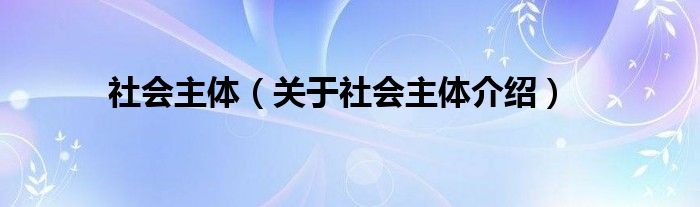  社会主体（关于社会主体介绍）