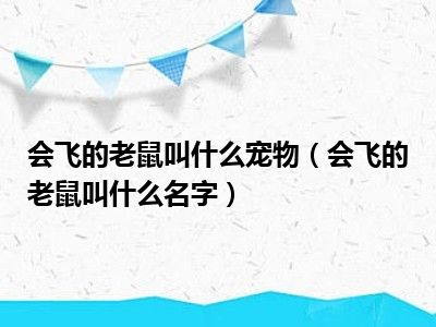 会飞的老鼠叫什么宠物（会飞的老鼠叫什么名字）