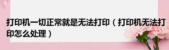 打印机一切正常就是无法打印（打印机无法打印怎么处理）