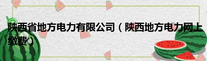 陕西省地方电力有限公司（陕西地方电力网上缴费）