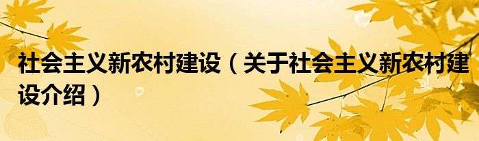  社会主义新农村建设（关于社会主义新农村建设介绍）